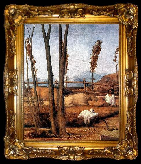 framed  Giovanni Bellini Madonna of the Meadow, ta009-2